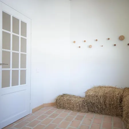 וילה Grand Villla Skyta וורוכטה