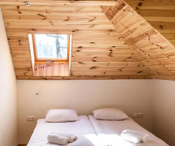 Villa Grand Villla Skyta Vorokhta