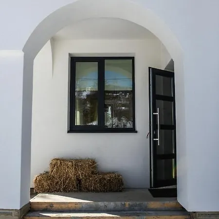 Grand Villla Skyta Villa Vorokhta